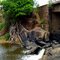 Raízes Sobre Pedras no Rio Piranji (antes da enchente)