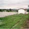 Enchente 1999 vista da Faz. Alecrim