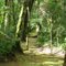 Parque Ecologico Ouro Fino - Trilha das Araucarias - do outro lado do lago