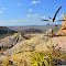 Pedra da Arara - Cana Brava - Buriti dos Montes