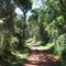 Caminho para o Salto Yucumã - dentro do Parque Estadual Florestal do Turvo