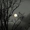 Lua tímida | A shy moon (Arcos-mg Brasil)