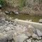 Desvio de toda água do rio para as arrozeiras em Pouso Redondo - SC 