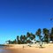 Bahia - Salvador  - Praia do Forte é local de resorts sofisticados, praias tranquilas e respeito à natureza
