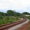 Estrada de Ferro do Amapá. Porto Grande. AP.