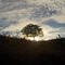 Pôr-do-Sol atrás da árvore, Pedra Branca, Caldas, MG, Brasil