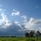 Fazenda de gado leiteiro, pastagem de brachiária, chuva, nuvens cumulus