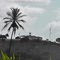 Uma palmeira secular complementando a beleza do mirante da cidade de Luis Gomes RN - Brasil