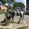 Cavalinho entrada da cidade de Belo Oriente - MG