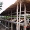 fasenda sambaiba projeto coop cocal dos alves piaui