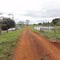 Estrada e lagaos na Fazenda Marcelina - Itaporã - Mato Grosso do Sul - Brasil