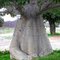 Tronco de árvore Baobá