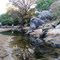 Belo reflexo da craibera na água do rio Taperoá