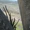 Pedra do Sino, Monte Horebe-Paraíba (Carlyle)