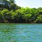 Ilha Sumaúma, rio Tocantins, Ribamar Fiquene-MA