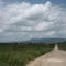 Road into Jaramataia, Alagoas, Brasil
