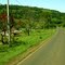Cenário Rural (Rod.469 Planalto Alegre/Caxambú do Sul SC.)