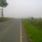 Estrada pela manhã com muita neblina - Teixeira Soares - PR
