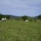 Cadastro de Compromisso Socioambiental - Fazenda Jacutinga - Cadastrada desde 2010