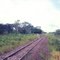 Estrada de ferro-  Miranda-MS   janeiro de 1995